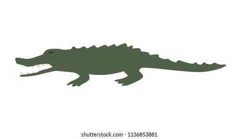 Funny green alligator. Flat vector illustration. Isolated on white background.