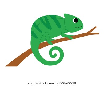 funny green chameleon cartoon on a branch illustration