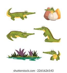 Funny Green Crocodile with Toothy Smile Engaged in Different Activity Vector Set