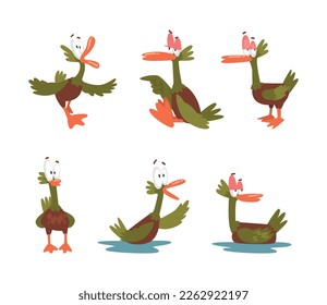 Funny Green Dabbling Duck Character as Feathered Waterfowl Bird Vector Set