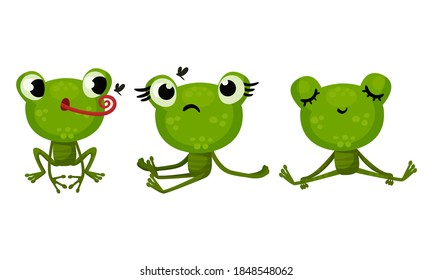 Funny Green Frog with Protruding Eyes Catching Insect and Sleeping Vector Set
