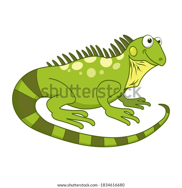 Graciosa Iguana Verde Lagartija Exotica Suave Aislada En El Fondo Blanco Caricatura Animal Reptil Tarjeta Educativa