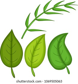 funny green tropical leaves cartoon
