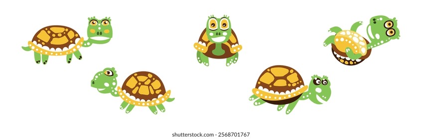 Funny Green Turtle Character with Carapace Vector Set