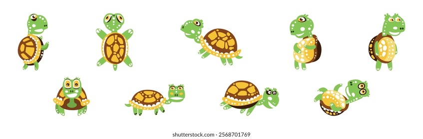 Funny Green Turtle Character with Carapace Vector Set