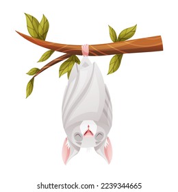 Funny Grey Bat with Cute Snout Hanging Upside Down on Tree Branch and Sleeping Vector Illustration