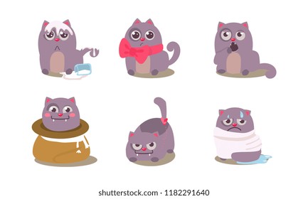Funny grey cat in different situations with various emotions, mischievous animal character vector Illustration on a white background
