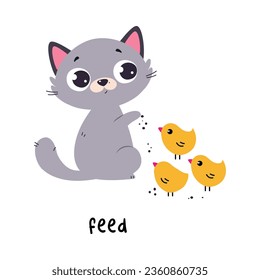 Funny Grey Cat Feed Chicks as English Verb for Educational Activity Vector Illustration