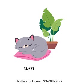 Funny Gray Cat Sleep auf Pillow als englischer Verb für Bildungs-Aktivität Vektorgrafik