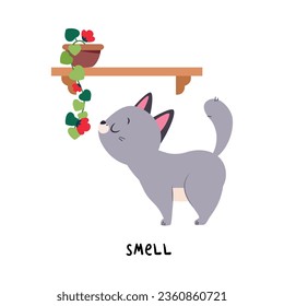 Funny Grey Cat Smell Flower as English Verb for Educational Activity Vector Illustration