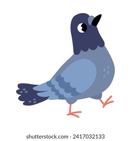 Funny Grey Dove or Pigeon Flying Creature Walking Vector Illustration