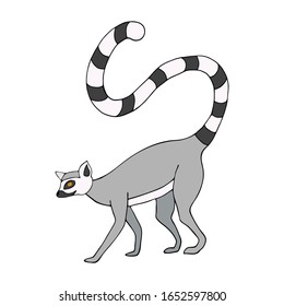 Funny grey lemur on a white background. Curving striped tail, playful mood. Vector illustration for printing on Wallpaper, prints, patterns
