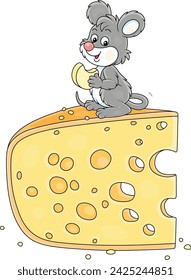 Ratoncito gris divertido en el desayuno mordisqueando un pedazo grande de queso muy sabroso en una despensa, ilustración de dibujos animados vectorial en blanco