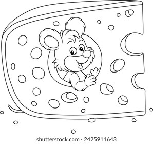 Funny grey little mouse looking out of a gnawed hole in a big piece of very tasty cheese in a pantry, black and white vector cartoon for a coloring book