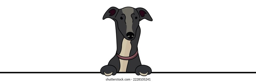 Funny Greyhound dog with paws over a white wall, in a pocket vector illustration. Funny dog smiling. Cute dog head on a white background. Hand-drawn mascot. Smiling dog muzzle. BFF.
