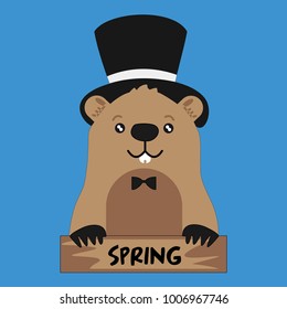 Funny groundhog in black hat on blue  background with spring card. Vector Design with Cute Marmot Character - Advertising Poster or Flyer Template