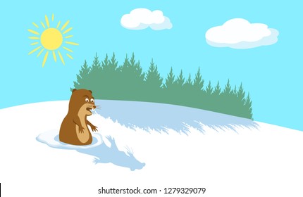 Funny groundhog scared of his shadow. Winter background with pine forest. Sun and clouds in blue sky. Happy Groundhog Day. Vector illustration EPS-8.