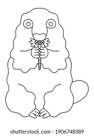 Funny groundhog with spring flower in hands coloring page for kids and adults vector. Black outline marmot animal white isolated stock vector illustration. Happy Groundhog Day traditional event mascot