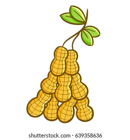 Funny group of peanuts in cartoon style - vector.