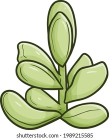 Funny growing up green succulent in doodle style