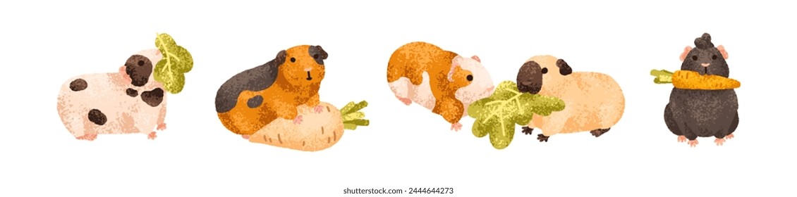 Funny guinea pig characters eating food set. Cute fluffy cavies, baby rodents. Adorable kawaii comic pets with vegetables, leaf, feeding. Kids flat vector illustration isolated on white background