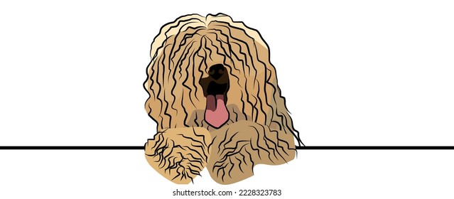 Funny Hair Komondor dog with paws over a white wall, in a pocket vector illustration. Funny dog smiling. Cute dog head on a white background. Hand-drawn mascot. Smiling dog muzzle. BFF.