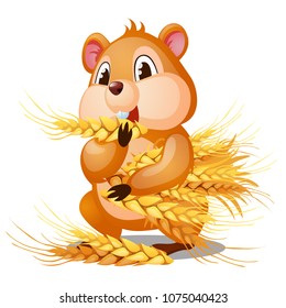 Funny hamster eating wheat ears isolated on a white background. Vector cartoon close-up illustration.