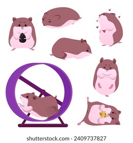 Funny hamsters, set of vector illustrations on white background. Collection of cute fluffy pets, different domestic furry rodents in a wheel, with seeds and cheese. Drawn in flat cartoon style