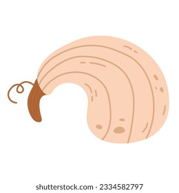 Funny hand drawing pumpkin vegetable flat icon