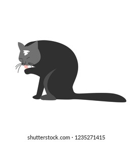 Funny Hand Drawn Black Cat Is Licking Its Paw. Vector Illustration Of A Cartoon Character.