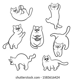 Funny hand drawn cats. Animals vector illustration with adorable kittens