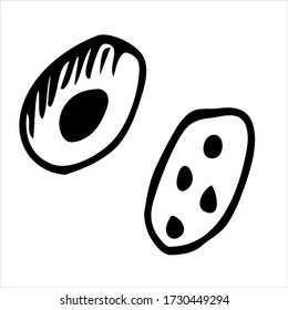 galleta graciosa dibujada a mano sin fondo