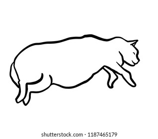 Funny hand drawn fat cat lying. Animal vector outline sketch illustration with a pet kitty. Black contour isolated over white.
