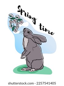 Funny hand drawn grey rabbit on the grass and smelling cherry blossom. Lettering spring time. Vector isolated illustration, cartoon flat character. Greeting card, crafting. Children print design