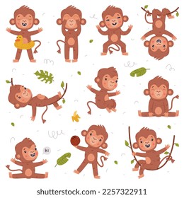 Funny happy baby monkey in different poses. Cute African tropical animal cartoon character hanging and swinging on vine, jumping, playing coconut vector illustration