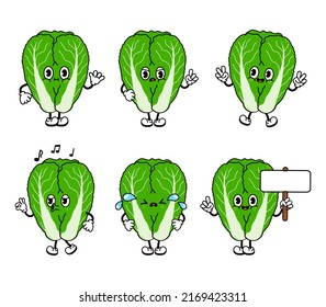 Funny happy Chinese cabbage characters set. Vector hand drawn doodle style traditional cartoon vintage, retro character illustration icon design. Isolated white background. Cute cabbage character