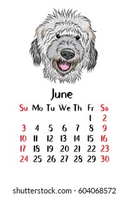 Funny happy dog, calendar 2018 design. Chinese new year, the year of the dog zodiac monthly cards templates. Cute doggy vector.