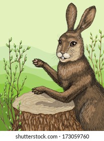 Funny hare drumming on stump.