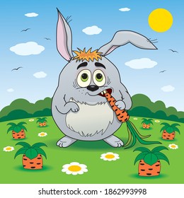 Der Hase auf einer Wiese frisst eine Karotte

