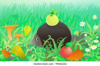 Funny hedgehog with apple in the forest among autumn grass, leaves and mushrooms. Eps 10