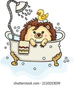 Funny hedgehog in bathtub with shower
