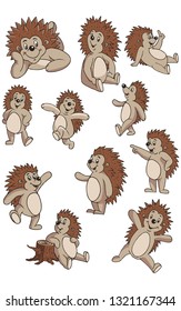 Funny Hedgehog poses