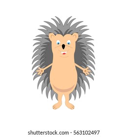 Funny hedgehog sketch drawing, isolated on white background, in color.
