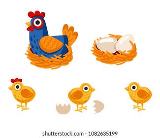 funny hen cartoon with her baby chicken, mother hen, eggs. Vector illustration isolated on white background