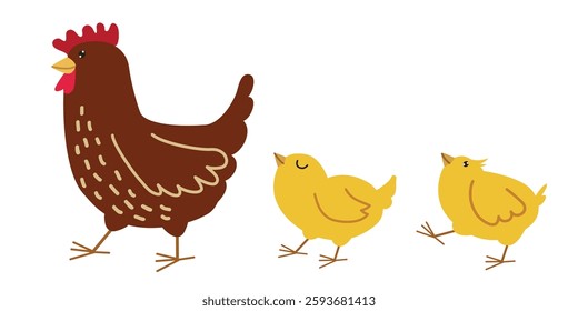 Funny hen and her cute chicks, mom and two fluffy baby. Happy family walking. Cartoon character, poultry and chickens. Concept of Mother's day. Hand drawn vector illustration, isolated. Flat design. 