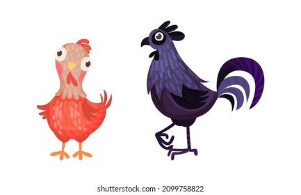 Funny hen and rooster, farm poultry breeding cartoon vector illustration