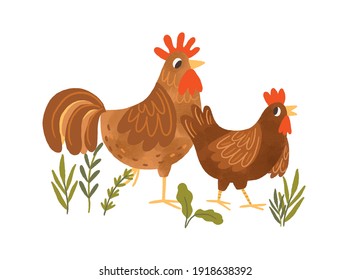 Funny hen and rooster walking together. Couple of cute domestic birds with brown feathers. Colored flat textured vector illustration isolated on white background.