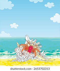 Funny hermit crab in a fancy shell on a sandy beach of a sunny tropical island in a southern sea, vector cartoon illustration
