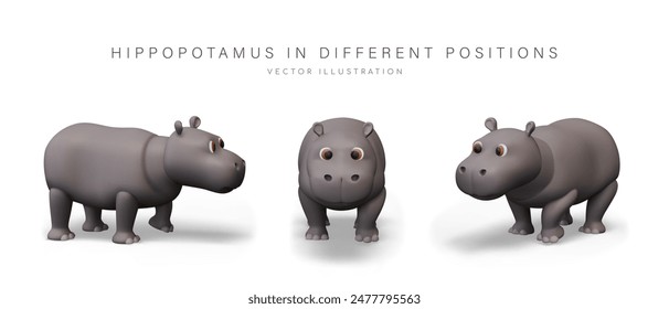 Funny hippopotamus in cartoon style. 3D wild animal, view from different sides