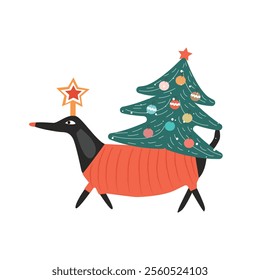 Funny Holiday Vector Illustration With Dachshund Wearing  Red Sweater.